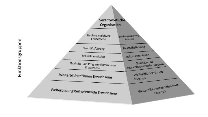 13a GrafUebersicht Funktionsgruppen